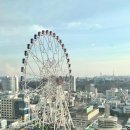 뷰282 | [울산여행] 울산 롯데호텔 디럭스 조식 관람차뷰 후기