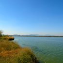 낙동강변 이미지