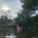 풍전가든 이미지