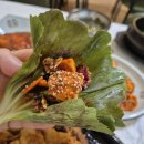 내고향쌈밥 이미지