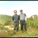 간월상회 이미지