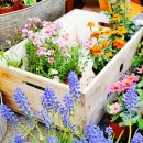 성바오로약국 이미지