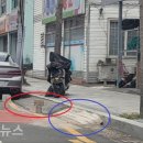 중앙농약사 이미지