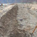 일구농장3 이미지