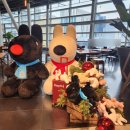 베이커스룸 이미지