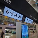 1박2일 유채꽃 제주도 여행 20만원으로 다녀온 꿀팁 후기