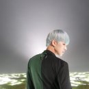 그라퍼 Daum카페
