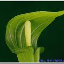 달맞이팬션 이미지