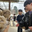 덕정목장 이미지