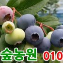 잉꼬농원 이미지