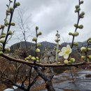 성진농장 2 이미지