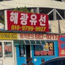 인천 쭈꾸미낚시 후기 피닉스호 해광유선 (내돈내산)