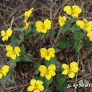 세상의모든아름다움의원 이미지