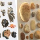 국립현대미술관(과천관) 이미지