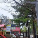 송강그린공인중개사사무소 | 대전 송강동송강그린아파트 선택, 대박공인중개사사무소와 함께라면 걱정 뚝! 믿고 맡기는 비결