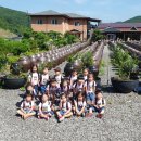 벽방초등학교병설유치원 이미지