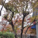 8번가위드팜약국 이미지