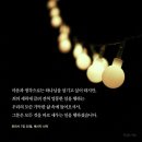 슬기로운신앙생활(47)&#34;믿음의 선한 싸움!&#34; - 넷째, 멀멀 가가의 기준(디모데전서 6장 11절, 로마서 7장 15~25절) 이미지