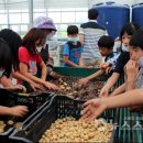 서면초등학교 이미지