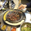 미스터갈매기