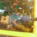 반도기계 이미지