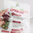 가나안포도농장 | 김의준고구마 고당도 샤인머스켓 바이올렛킹 망고포도 추천