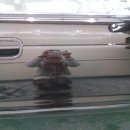 천수세차장 이미지