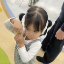 11590-가50-3 | 다산 뽀로로파크 할인(50%), 주차, 식당 꿀팁 (세 돌 아기랑 다녀온 솔직 후기)