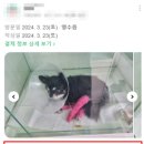 하나로 동물병원 이미지