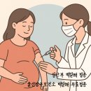 남구-30 | 울산 남구보건소 백일해 무료접종 / 임신 30주 백일해 접종 후기