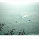 해를품은바다 이미지