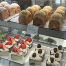 양진로 | <남양주 진접카페> “모모다인 오픈하우스" 내돈내산 !!장단점!! / 벌써 4번째 재방문!