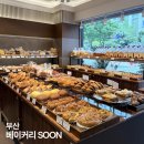 김병찬과자점 | 반여동빵집 베이커리SOON 새로 오픈한 빵 종류 다양한 동네빵집 후기