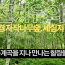 낙동강변로6-6 네이버블로그