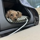 해옴동물병원 이미지