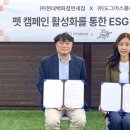 도그데일리 이미지