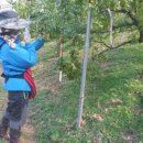 회인농장 이미지