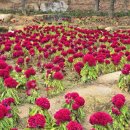 문희농장 이미지