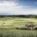 이효석농장 이미지