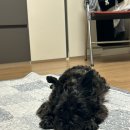 펜슬발라드 | 어쩌면 오늘이 마지막이 될지도 몰라