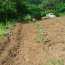 멍순농장 이미지