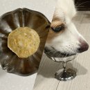 개밥짓는남자 이미지