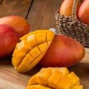 애플망고 이미지