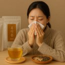 다온농장 | 따뜻한 겨울을 위한 한방차 &#39;다온재&#39; | 다온재 슬림 다온차, 휴 다온차 상황별 한방차 추천