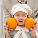 파티가든이안 돌스냅 이와스냅 베이직 예약후기