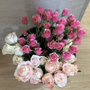 생금농장 | 농라-생금농장