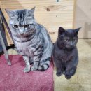 영탁스목공방 이미지