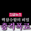 지렁이글씨를 맹종하는 똥통스탈은 보아라 이미지