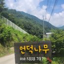 언덕나무펜션 이미지