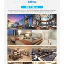 하리카투어 | D-4 ) 홈쇼핑제주도패키지여행..예약/아몰랑/가자일단/체력좋잖아../하리카투어